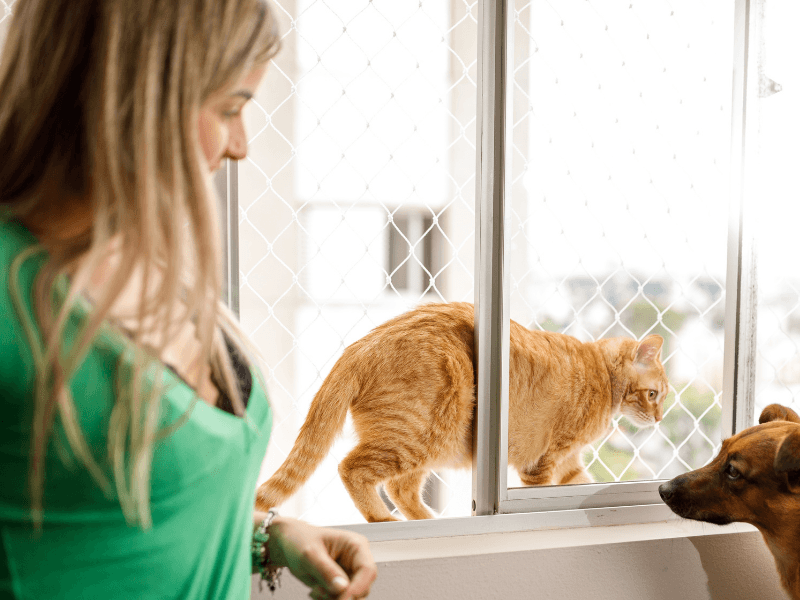 Por qué inspeccionar regularmente tus mallas de seguridad