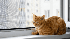 Cómo las Mallas de Seguridad para Gatos Reducen el Estrés y Aumentan la Seguridad