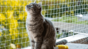 Evita Accidentes en Casa: Instala Mallas de Seguridad para tus Gatos y Niños