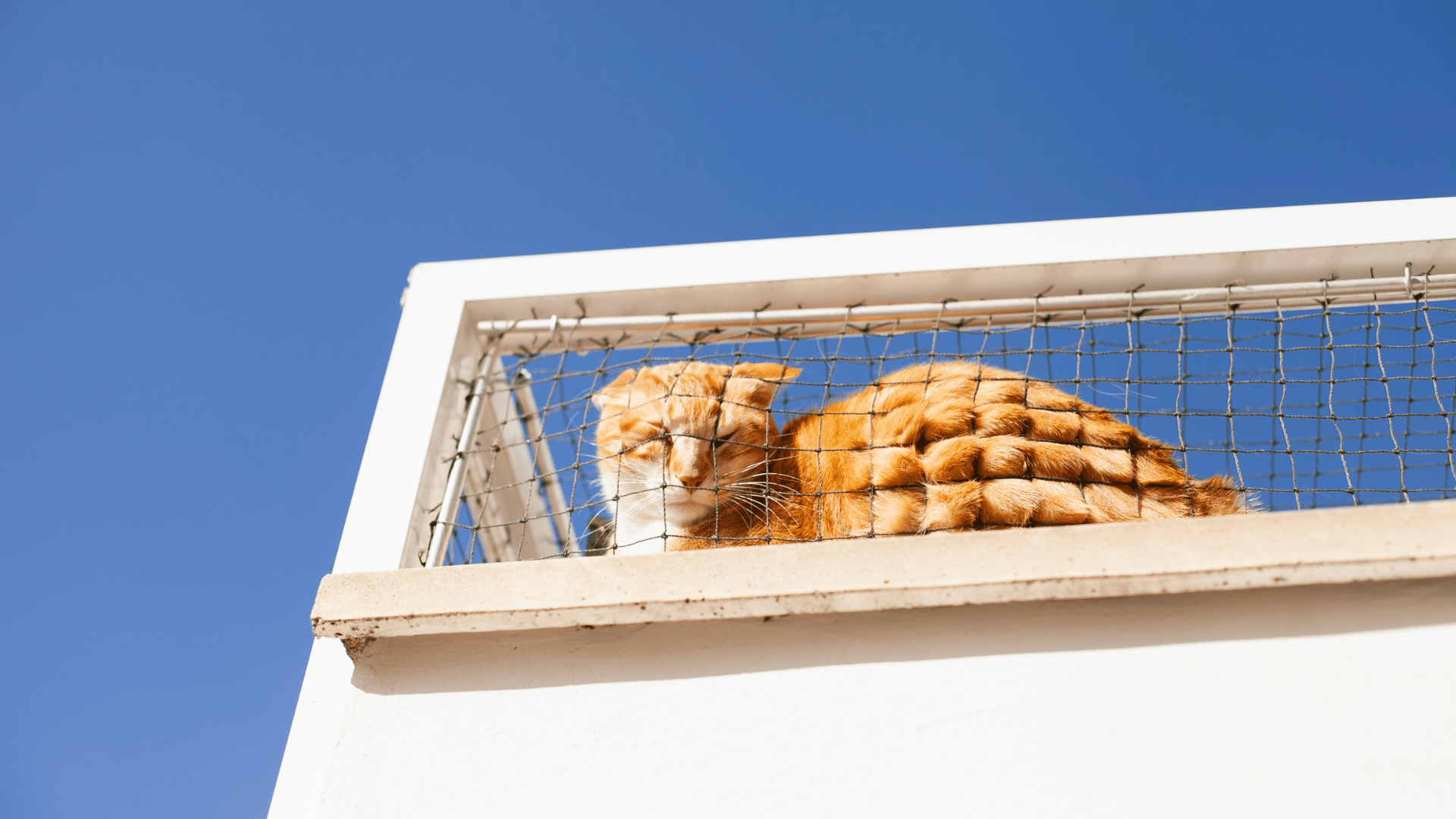 Seguridad en Alturas: Mallas de Protección para Ventanas y Balcones en Bogotá