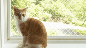 Lo que nadie te dice sobre las mallas de seguridad para gatos
