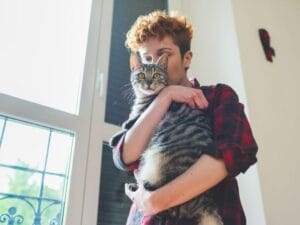 mallas de seguridad para tu gato