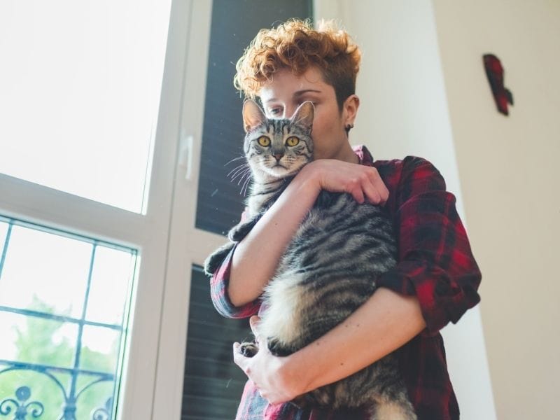 mallas de seguridad para tu gato