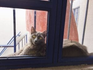 Mallas de seguridad transparentes la tendencia que une seguridad y estética