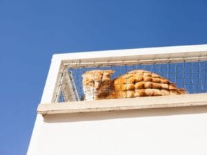 Las mallas de seguridad necesitan mantenimiento